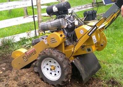 Tree Stump Grinding and Removal