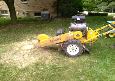 Tree Stump Grinding and Removal